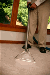Agregar limpieza de alfombras puede aumentar sus ganancias
