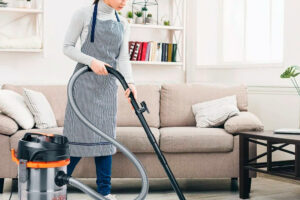 Aspiradoras y equipos de limpieza doméstica: como medir el retorno de inversión