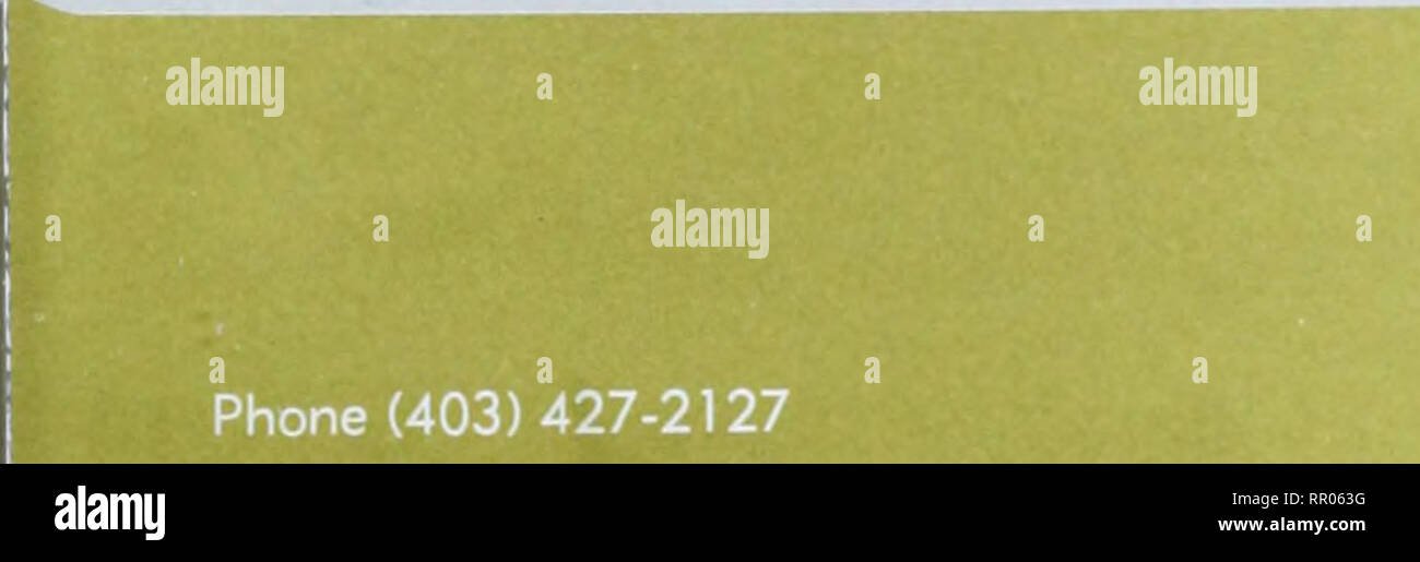 CGC Cleaning Services